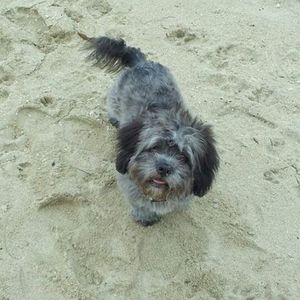 Meet your Posher, Soledad